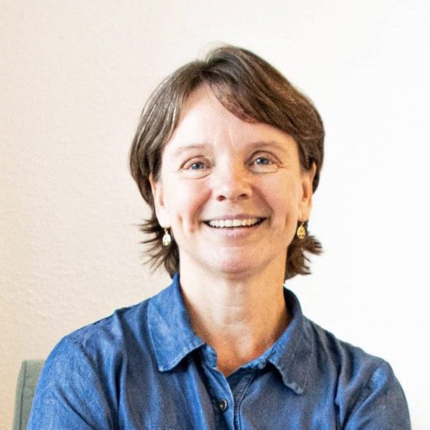 Rosenmetoden, behandler, traumer, krop og traumer